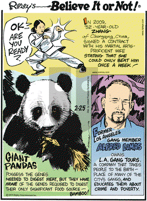 Ripley's Believe It or Not - Thursday February 25, 2010 Comic Strip