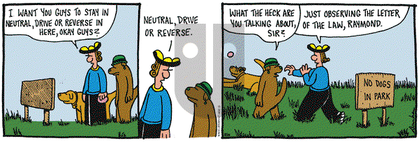 Overboard on Friday August 19, 2011 Comic Strip