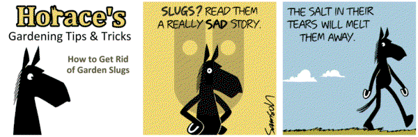 Dark Side of the Horse on Friday May 12, 2017 Comic Strip
