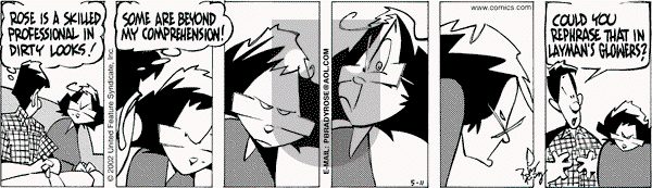 Rose is Rose on Saturday May 11, 2002 Comic Strip