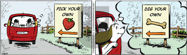 Fred Basset on Saturday July 4, 2020 Comic Strip