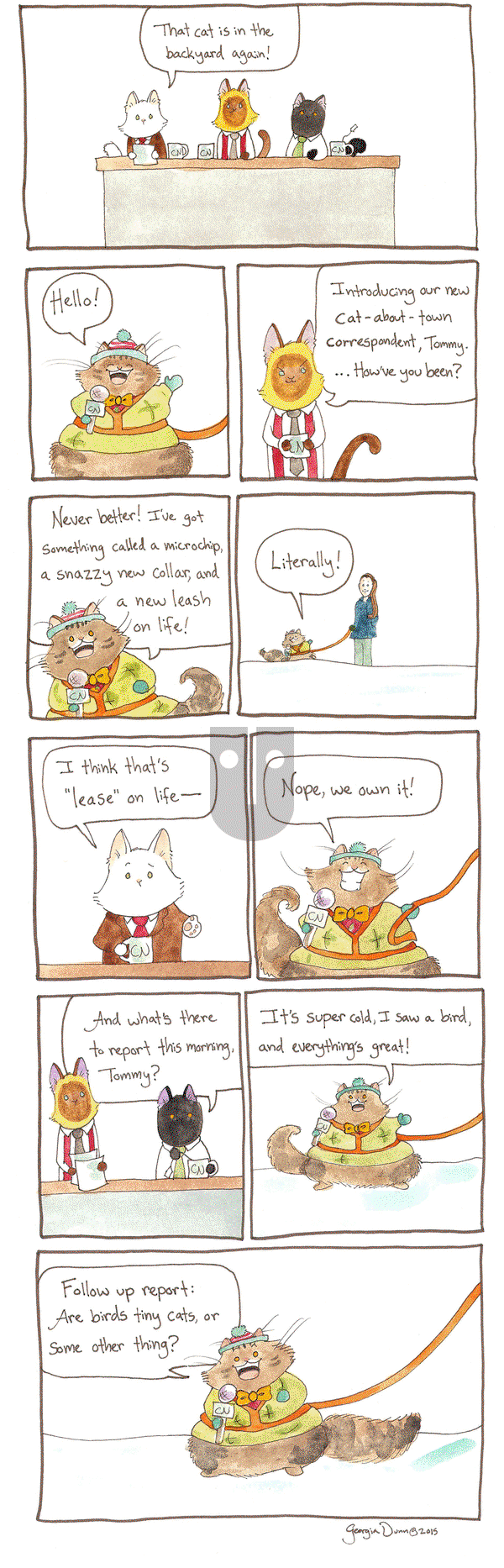 Breaking Cat News on Monday August 10, 2015 Comic Strip
