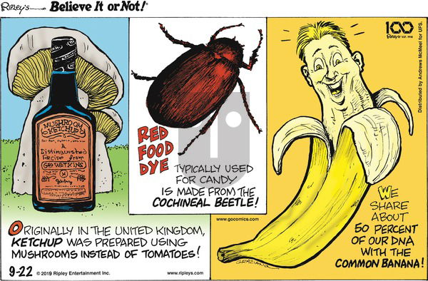 Ripley's Believe It or Not on Sunday September 22, 2019 Comic Strip