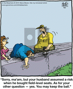 In the Bleachers on Saturday August 3, 2013 Comic Strip