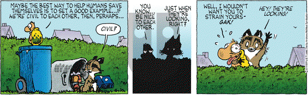 Over the Hedge on Thursday July 9, 2020 Comic Strip