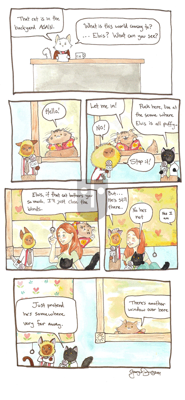 Breaking Cat News on Thursday September 29, 2016 Comic Strip