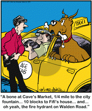 Marmaduke on Tuesday April 30, 2013 Comic Strip