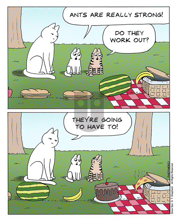Snow Sez on Monday June 10, 2024 Comic Strip