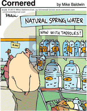 Cornered - Tuesday June 28, 2011 Comic Strip