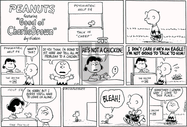 Peanuts - Sunday May 24, 1970 Comic Strip
