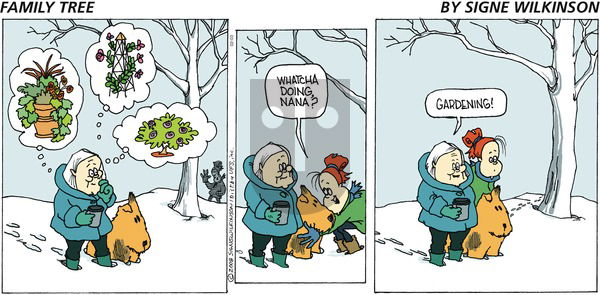 Family Tree - Sunday February 3, 2008 Comic Strip