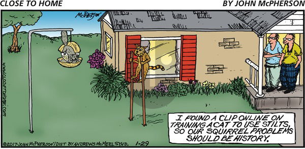 Close to Home on Sunday January 29, 2017 Comic Strip