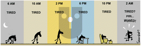 Dark Side of the Horse on Tuesday January 3, 2017 Comic Strip