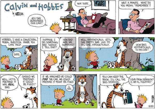 Calvin and Hobbes on Sunday July 7, 1991 Comic Strip
