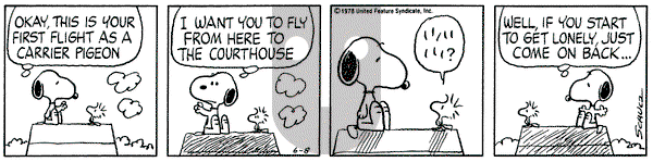 Peanuts on Thursday June 8, 1978 Comic Strip