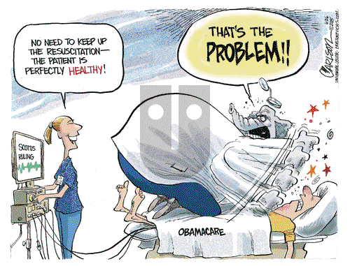 Stuart Carlson on Friday June 26, 2015 Comic Strip