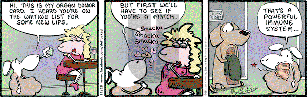 DeFlocked on Friday December 28, 2012 Comic Strip