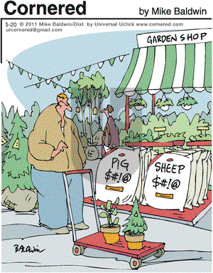 Cornered on Friday May 20, 2011 Comic Strip