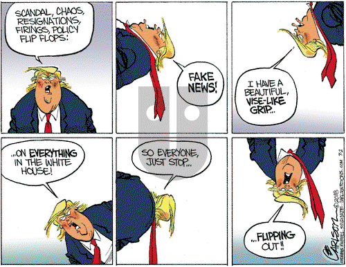 Stuart Carlson on Friday December 28, 2018 Comic Strip