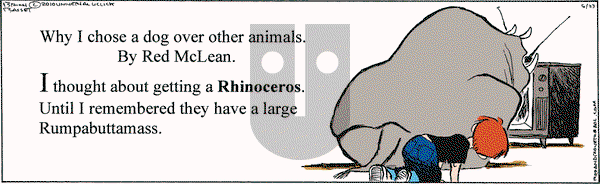 Red and Rover on Wednesday June 23, 2010 Comic Strip