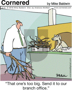 Cornered on Monday May 14, 2018 Comic Strip