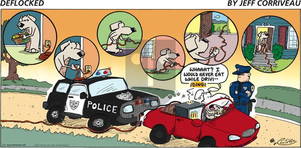 DeFlocked on Sunday January 4, 2015 Comic Strip