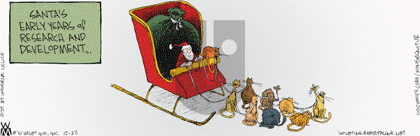 Non Sequitur on Wednesday December 22, 2010 Comic Strip