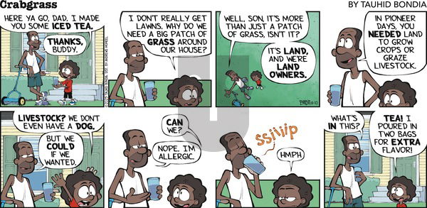 Crabgrass on Sunday August 10, 2025 Comic Strip