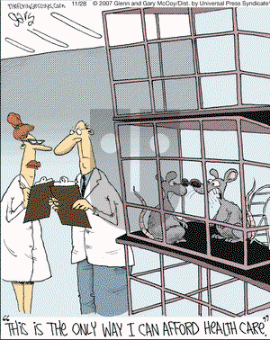 The Flying McCoys on Monday November 28, 2011 Comic Strip