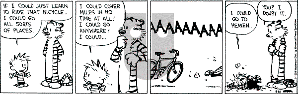 Calvin and Hobbes - Monday August 30, 1993 Comic Strip