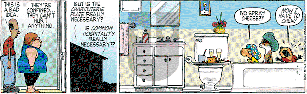 Over the Hedge on Saturday January 9, 2021 Comic Strip