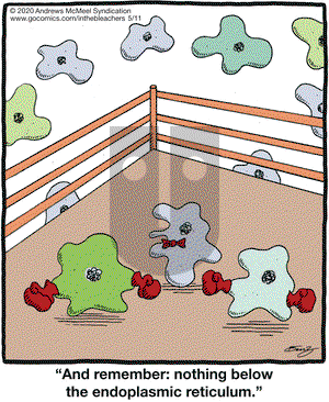In the Bleachers on Monday May 11, 2020 Comic Strip