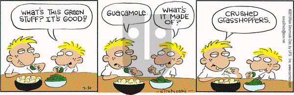 Soup to Nutz - Old on Friday July 30, 2010 Comic Strip