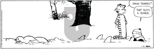 Calvin and Hobbes on Saturday January 18, 2025 Comic Strip