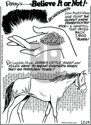 Ripley's Believe It or Not on Thursday January 22, 2004 Comic Strip