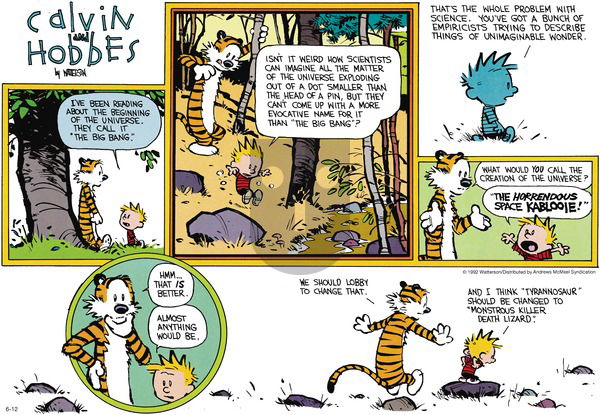 Calvin and Hobbes - Sunday June 12, 2022 Comic Strip