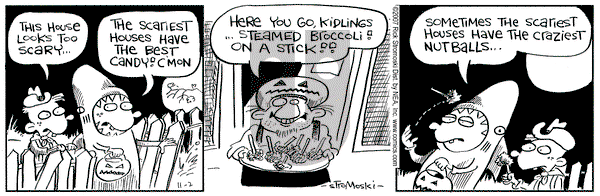 Soup to Nutz - Old on Friday November 2, 2007 Comic Strip