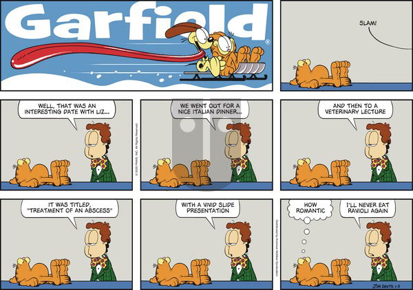 Garfield on Sunday January 5, 2020 Comic Strip