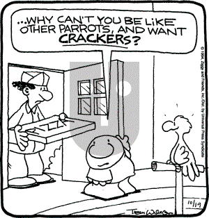 Ziggy on Wednesday October 19, 1994 Comic Strip