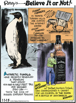 Ripley's Believe It or Not on Saturday November 15, 2014 Comic Strip