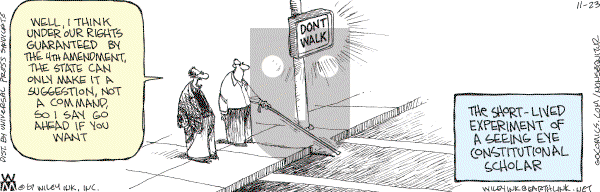 Non Sequitur - Friday November 23, 2007 Comic Strip