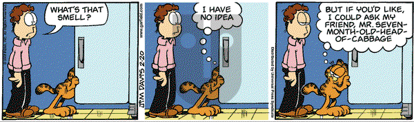 Garfield on Wednesday February 20, 2008 Comic Strip