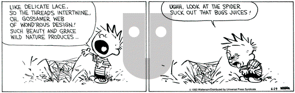 Calvin and Hobbes on Tuesday June 29, 1993 Comic Strip