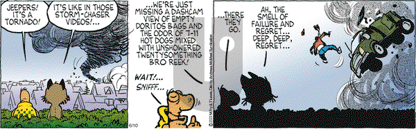 Over the Hedge on Tuesday June 10, 2025 Comic Strip