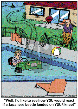 Close to Home on Tuesday September 17, 2024 Comic Strip