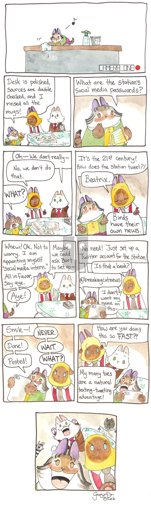 Breaking Cat News - Sunday March 5, 2017 Comic Strip