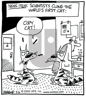 Reality Check on Monday May 6, 2002 Comic Strip