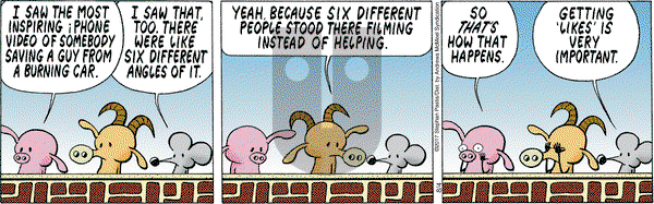 Pearls Before Swine on Friday August 4, 2017 Comic Strip