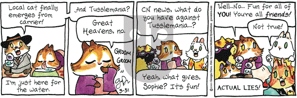 Breaking Cat News on Tuesday March 31, 2020 Comic Strip
