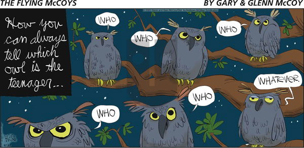 The Flying McCoys on Sunday April 27, 2025 Comic Strip